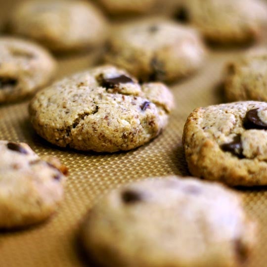 Paleo Diet Chocolate Chip Cookies Recipe