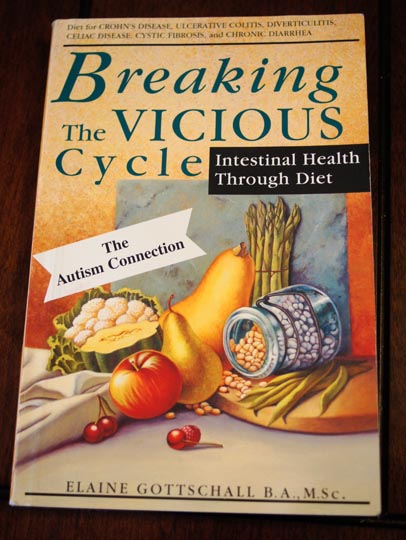 breaking the vicious cycle book