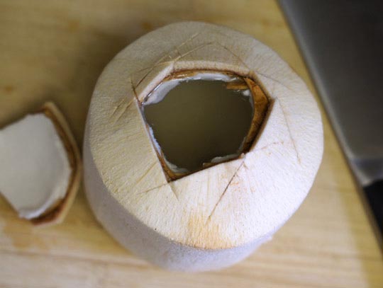 coconut with a part of the top cut off
