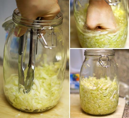 cut cabbage in a large glass jar