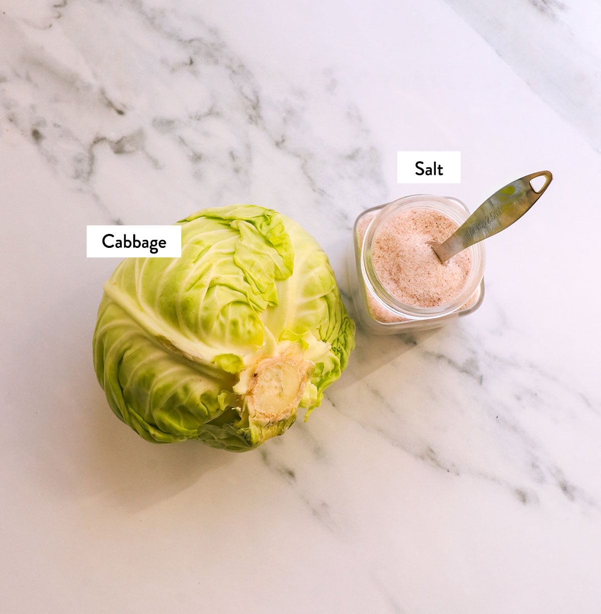 cabbage and salt labeled on a marble surface. 