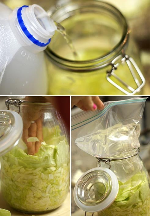 pouring water into jar of cut cabbage leaves