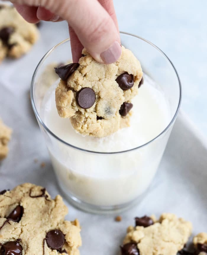 what happens if a dog eats chocolate chip cookie dough