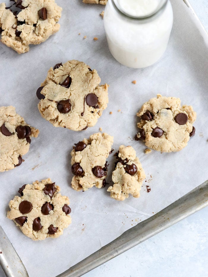 paleo chocolate chip cookies