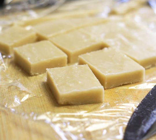 macadamia nut fudge squares