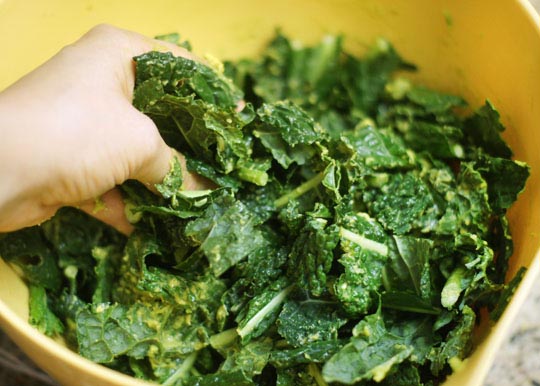 massaging kale in a bowl with hands