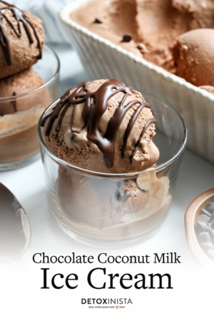 chocolate coconut milk ice cream pin