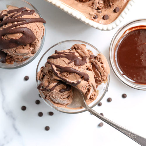 chocolate coconut milk ice cream in two dishes overhead