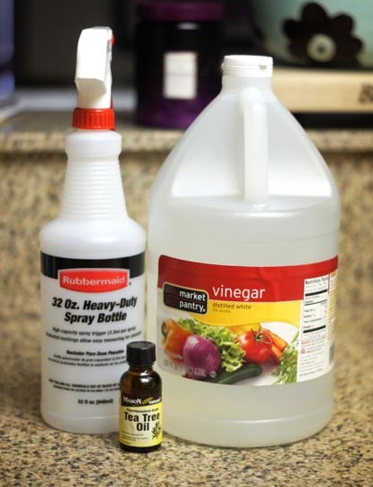 bottle of vinegar, spray bottle, and a bottle of tea tree oil