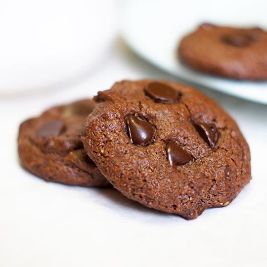 Crunchy Double Chocolate Chip Cookies, Gluten-free, Allergy-Friendly