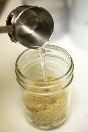 pouring water into mustard seed mixture