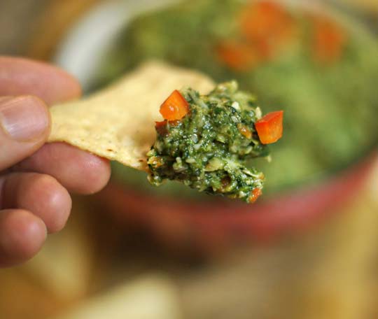creamy spinach artichoke dip scooped onto a chip