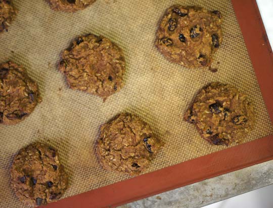 baked harvest breakfast cookies on a cookie sheet