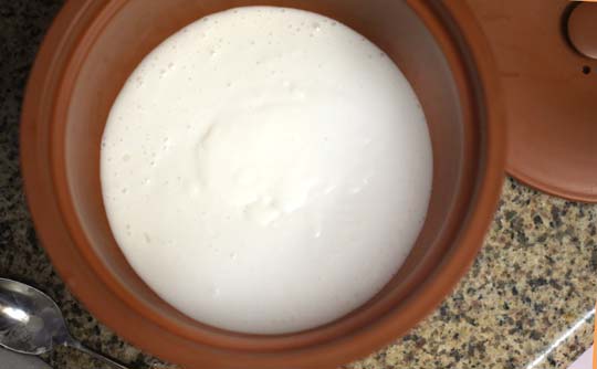 coconut yogurt in a slow cooker