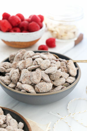 healthy puppy chow in a gray bowl with spoon