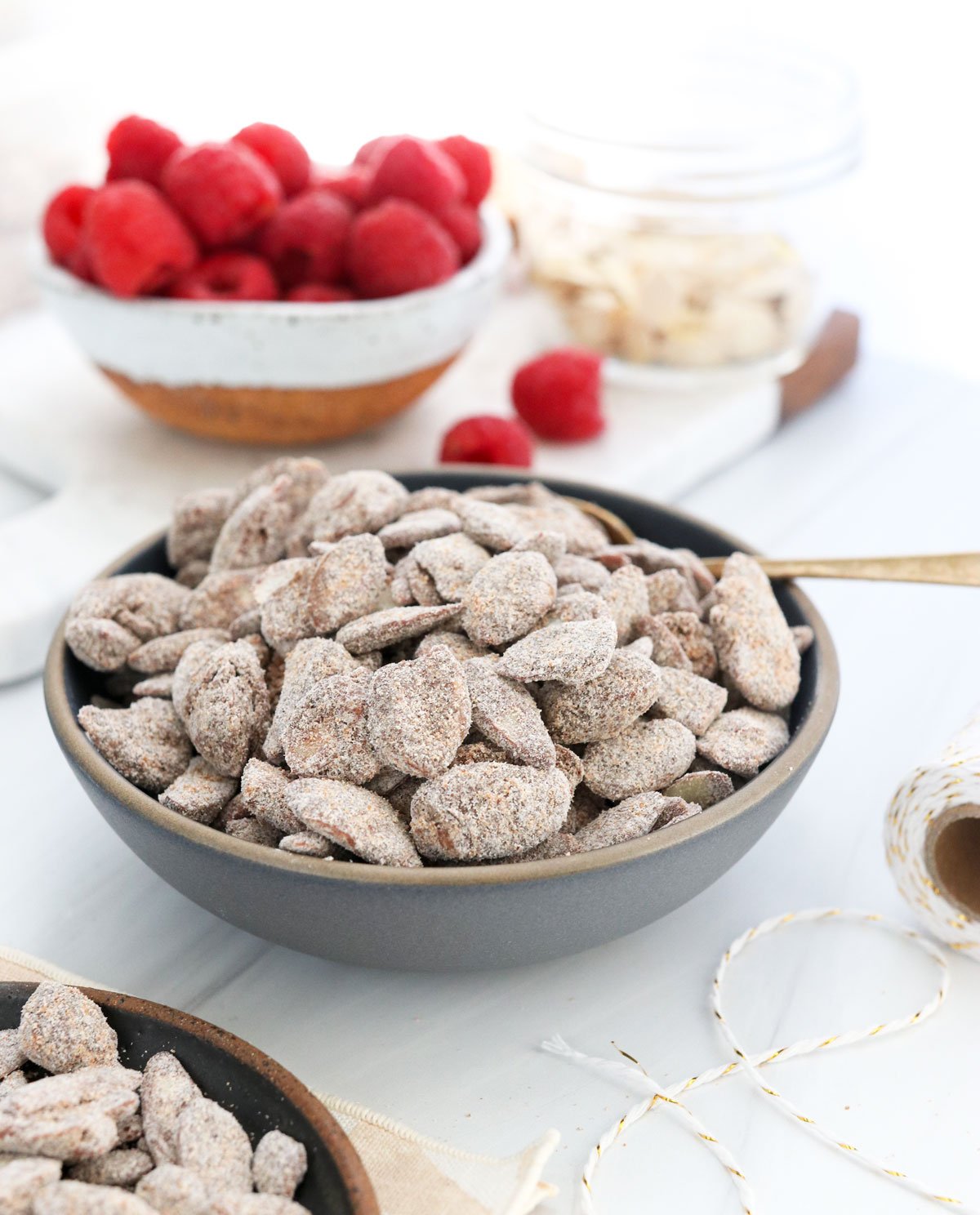 healthy puppy chow in a gray bowl with spoon