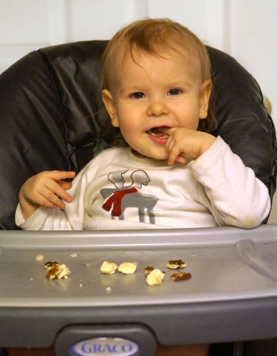 toddler eating in a high chair