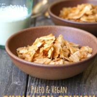 Paleo and Vegan Cinnamon crunch cereal pin