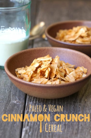 Paleo and Vegan Cinnamon crunch cereal pin