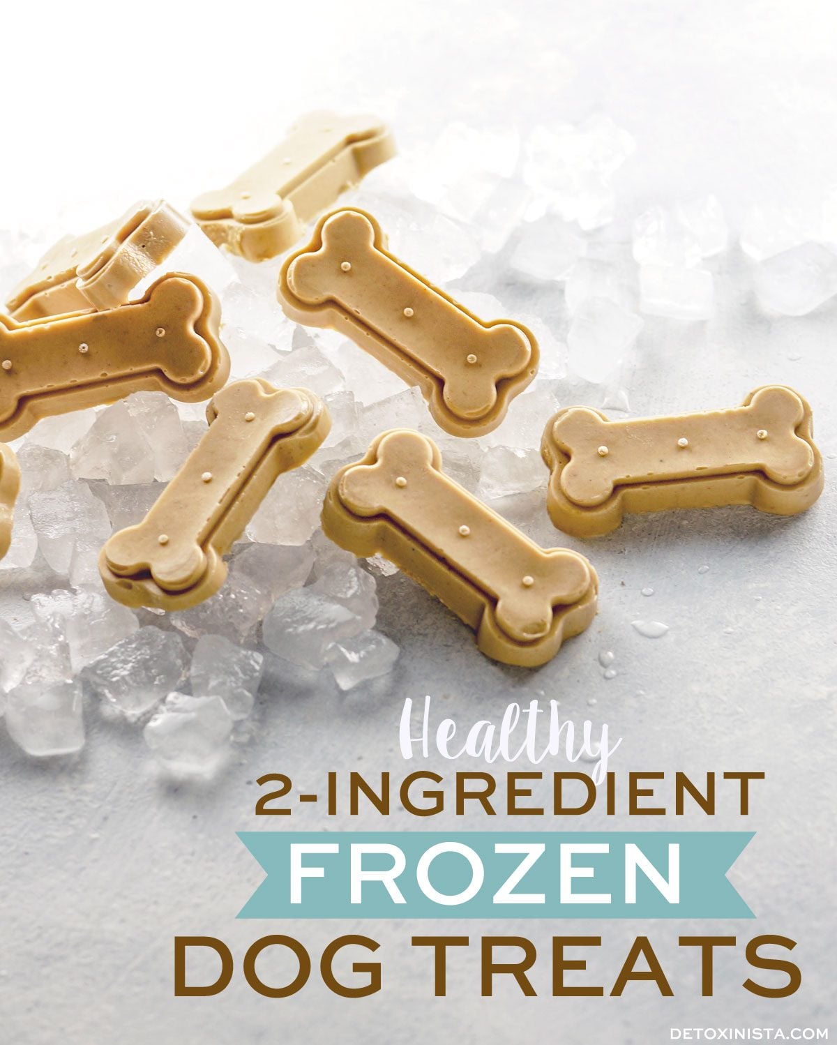 healthy dog treats on ice
