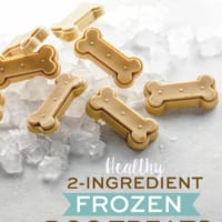 2-Ingredient Healthy Frozen Dog Treats pin