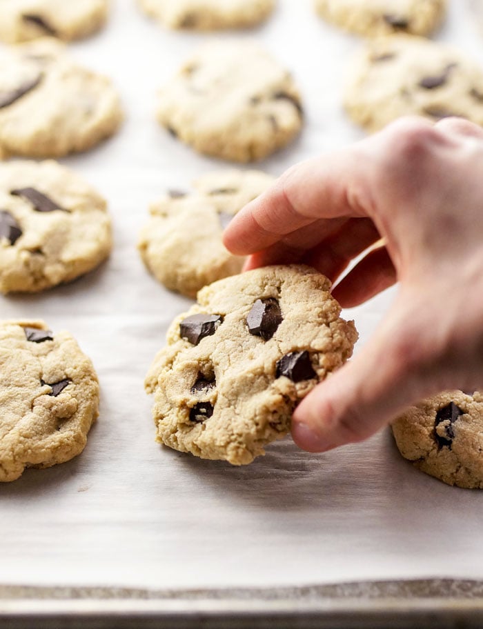 Almond Flour Cookies (with NO eggs!) | Detoxinista