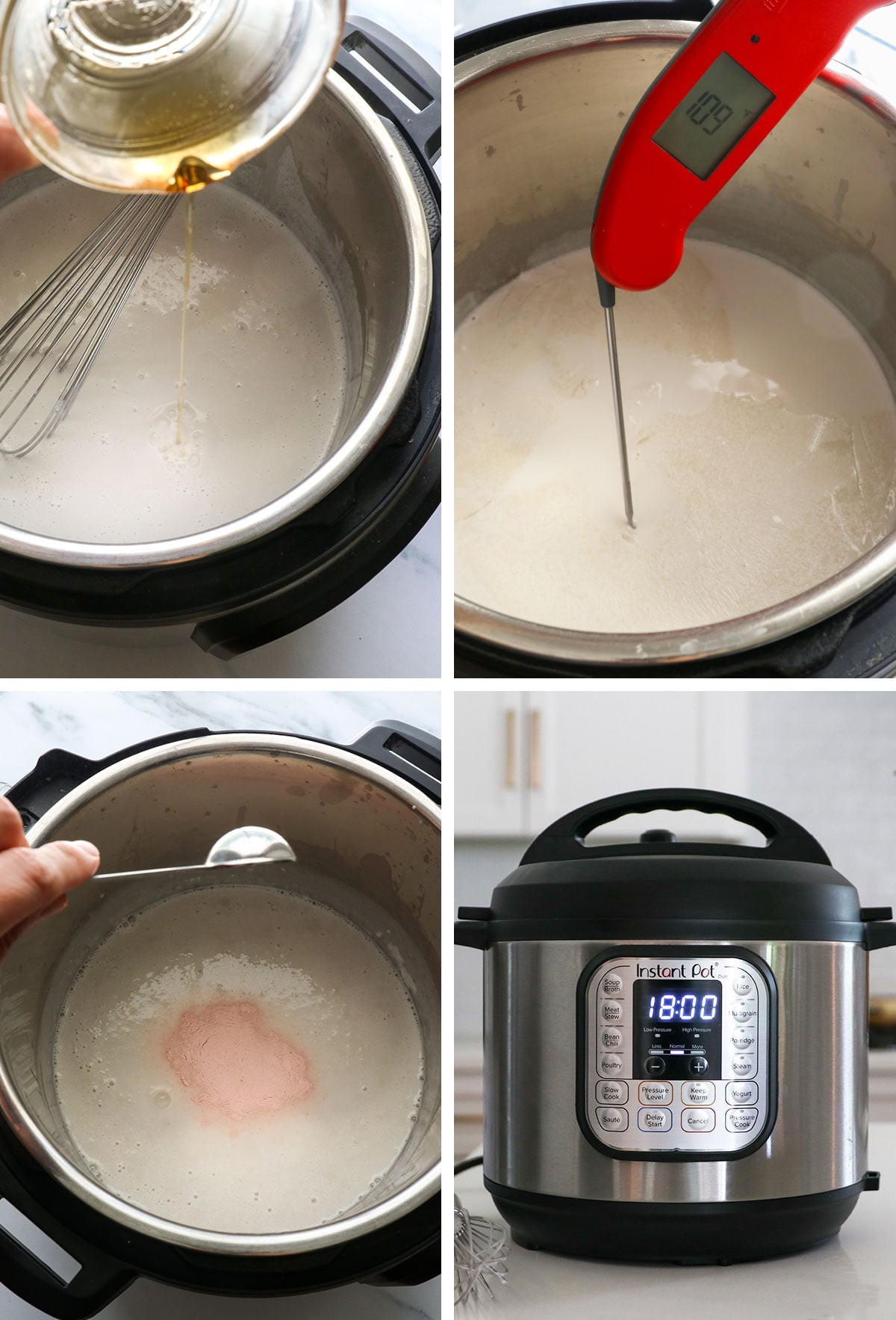 coconut milk with a thermometer and probiotics added, then a timer set to 18 hours.