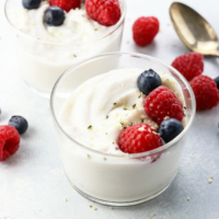 coconut milk yogurt in glass container with berries