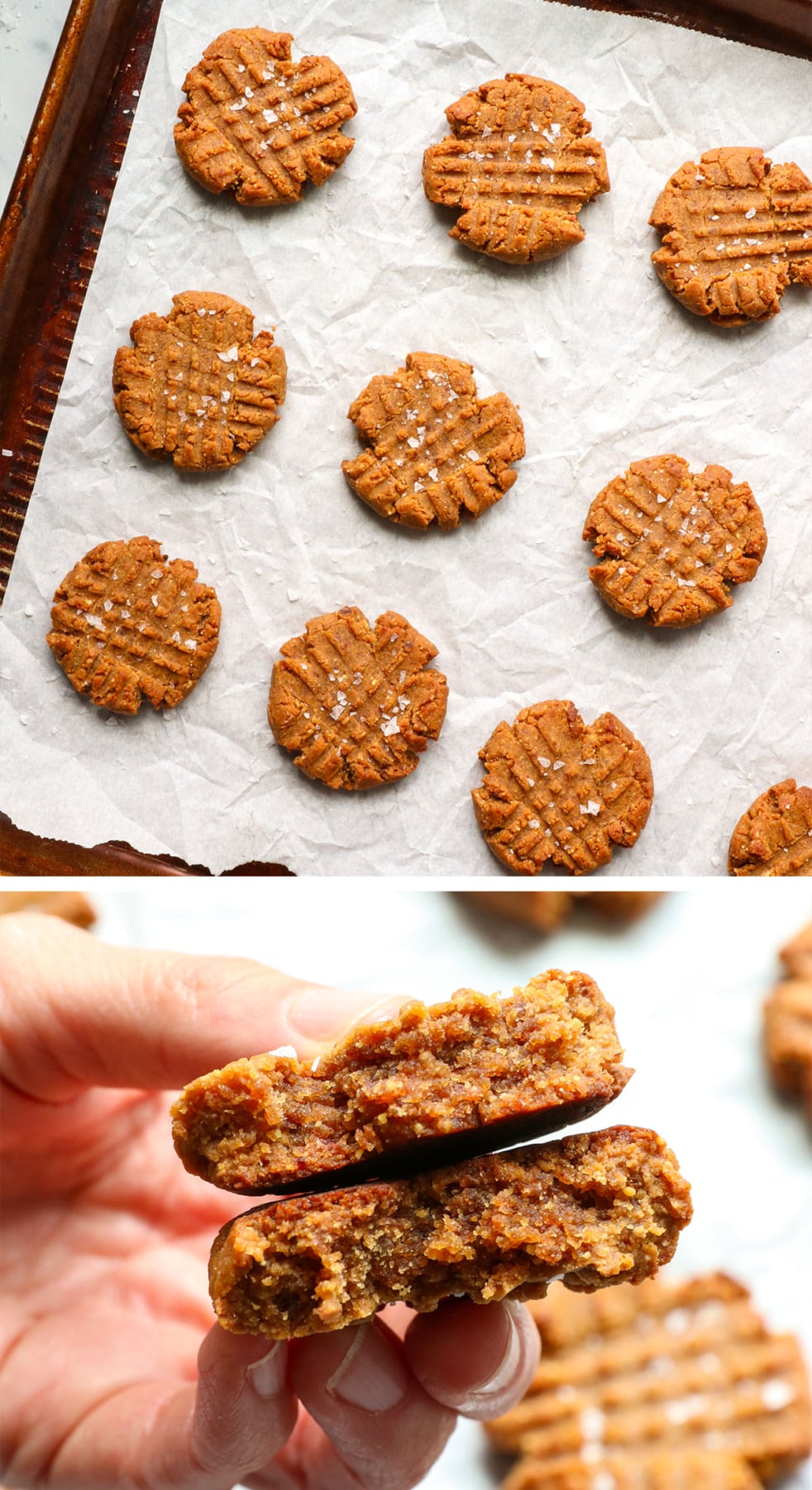 peanut butter cookies baked and split in half to show the texture.
