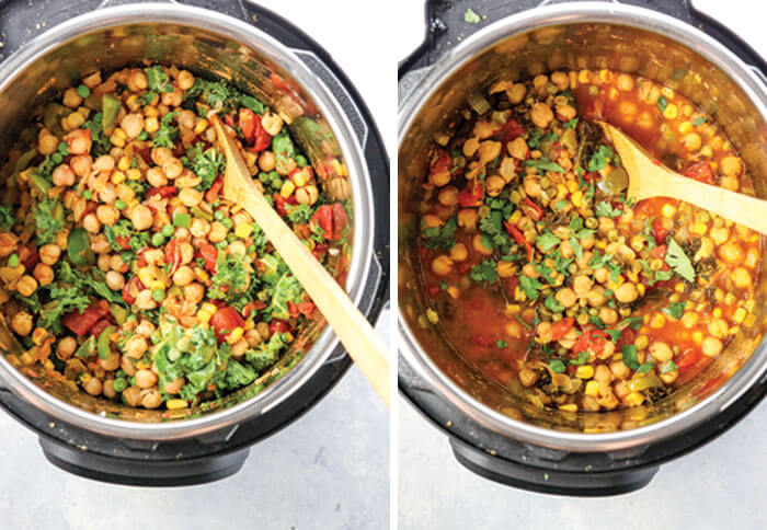 vegetarian indian instant pot recipes