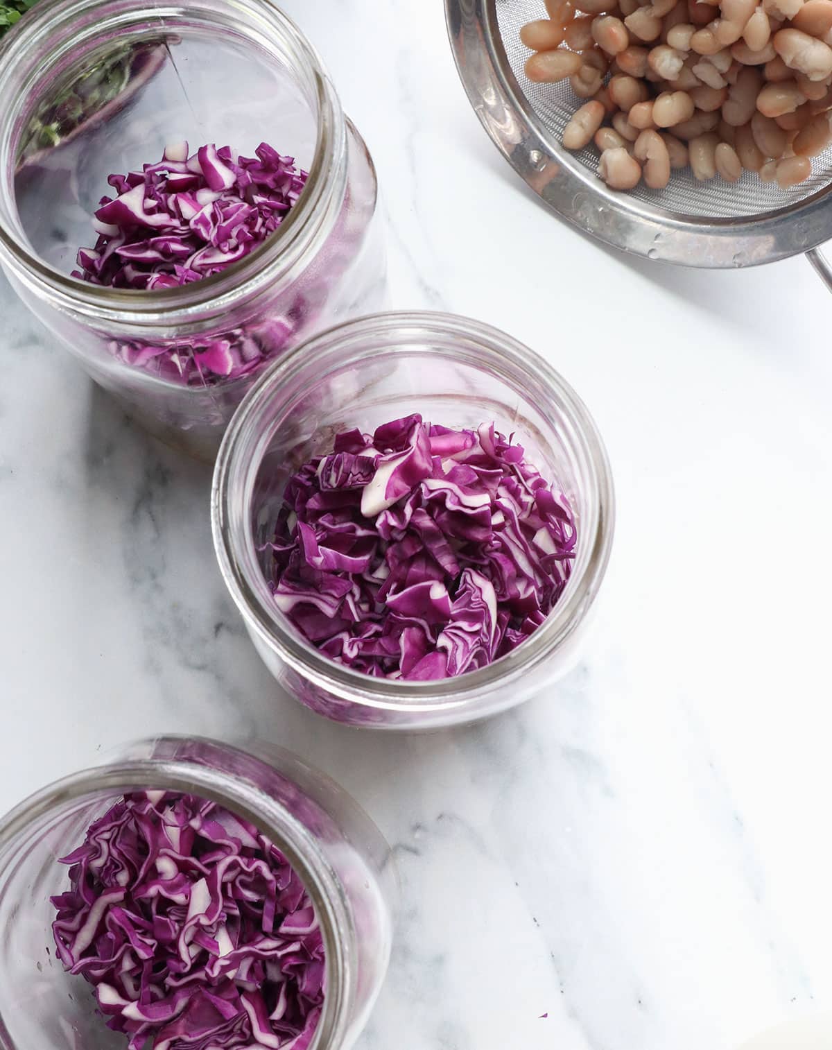 shredded purple cabbage added to 3 large mason jars. 