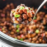 kung pao chickpeas in spoon