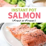 instant pot salmon pinterest pin