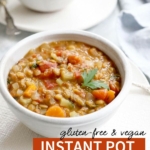 instant pot lentil soup for pinterest