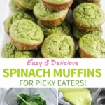 spinach muffins pin