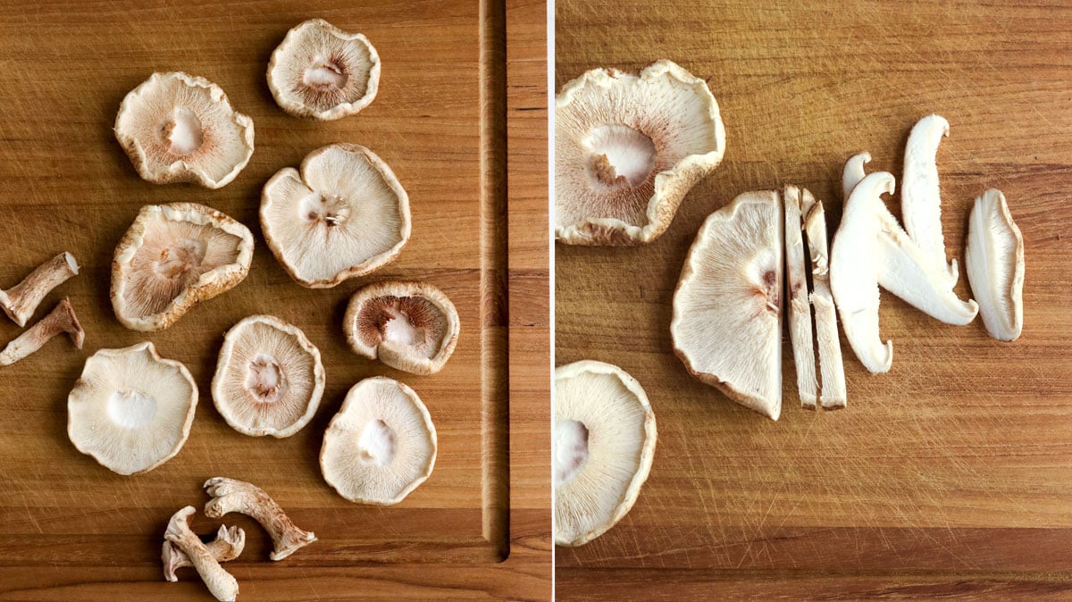 Fake Double Oyster Mushroom