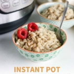 instant pot rice pudding pin
