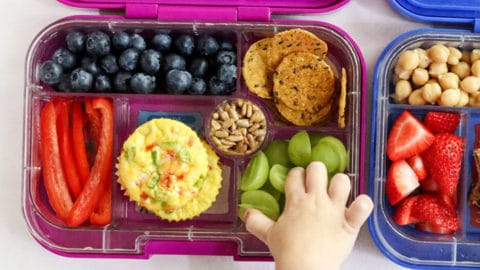 5 Healthy Back-to-School Lunch Ideas – OLIPOP