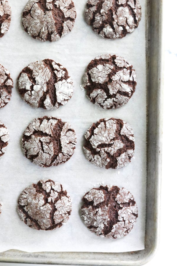 chocolate crinkle cookies on a pan