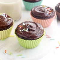 chocolate almond flour cupcakes with frosting and sprinkles