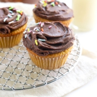 vanilla cupcakes with chocolate frosting and sprinkles