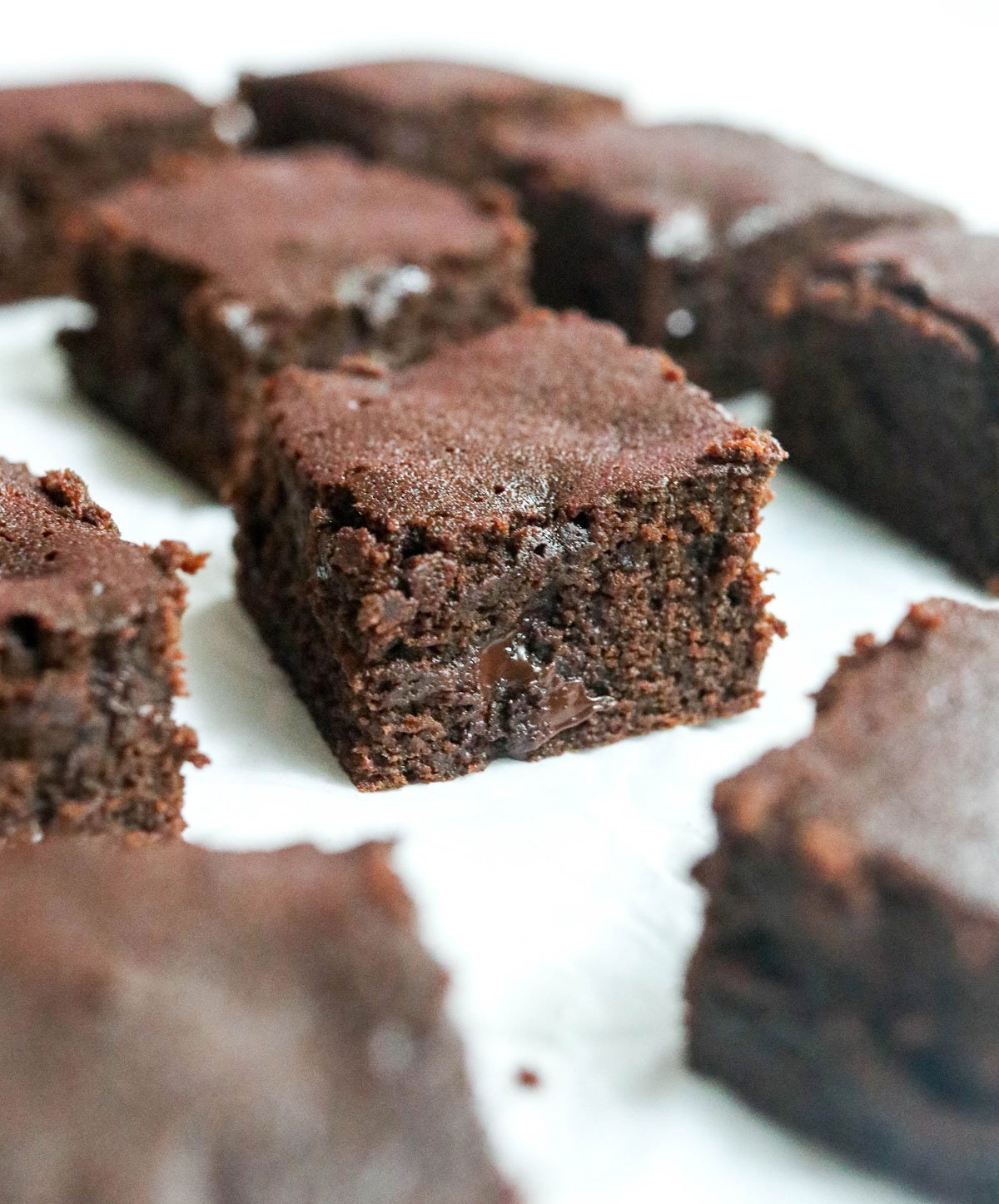 coconut flour brownie cut into squares