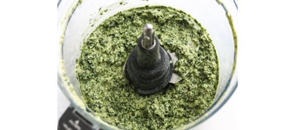 kale pesto pulverized in food processor