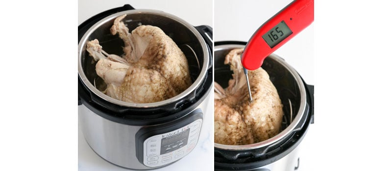 temperature check of cooked turkey