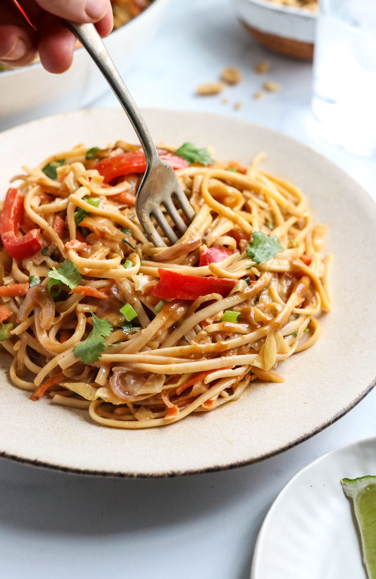 Easy Peanut Chicken Noodles