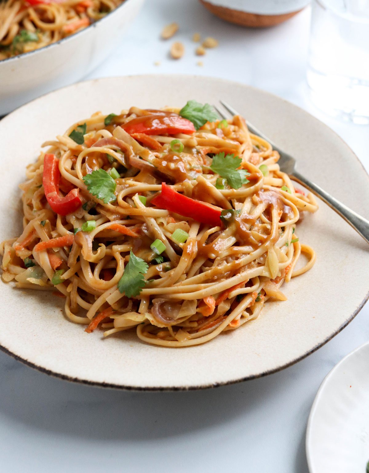 peanut noodles on a plate with fork