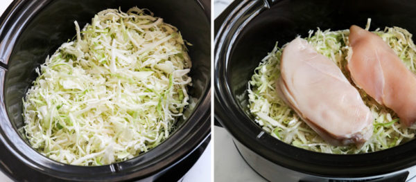 shredded cabbage with chicken on top