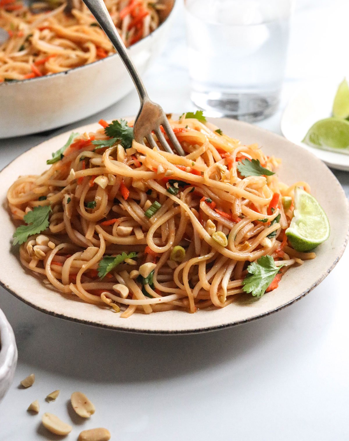 The Best Vegan Pad Thai - Full of Plants