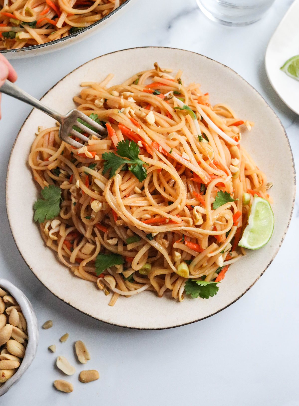 The Best Vegan Pad Thai - Full of Plants