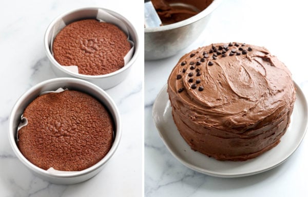 cooled and frosted chocolate cake
